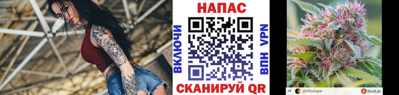 KRAKEN tor  Россошь  Марихуана ГИДРОПОН 